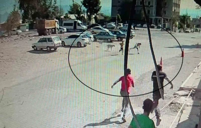 Köpeklerden kaçarken yere yığılan çocukların yardımına vatandaşlar yetişti
