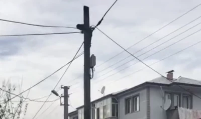 Köpeklerden kaçtı, direkte mahsur kaldı
