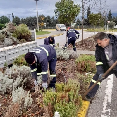 K&ouml;rfez&rsquo;de yeşil alanlar &ccedil;i&ccedil;eklerle s&uuml;sleniyor
