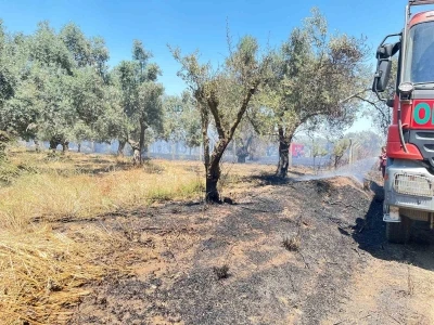 Korkutan arazi yangını 1 saatte kontrol altına alındı
