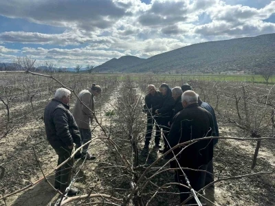 Korkuteli&rsquo;nde &ccedil;ift&ccedil;ilere budama eğitimi
