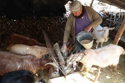 Korkuteli&rsquo;nde yem ezme ve kırma makinesi &uuml;reticiye kolaylık sağlıyor
