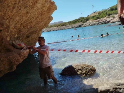 Koruma altına alınan Akdeniz foku, kontrollerinin ardından sahile bırakıldı
