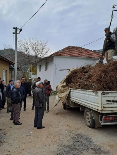 K&ouml;şk&rsquo;te k&ouml;kl&uuml; kestane fidanları &uuml;reticilere dağıtıldı
