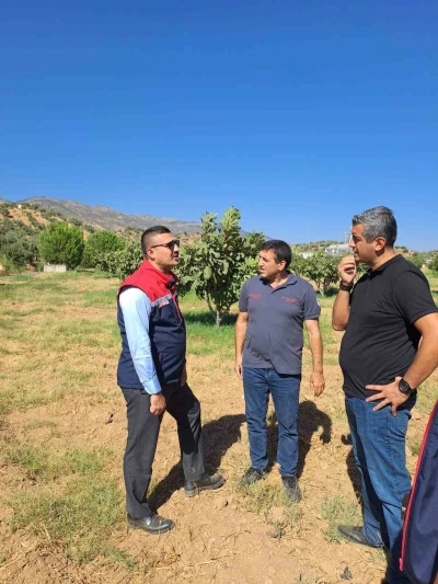 Köşk’te tarımsal zararlılarla mücadele için sahaya indiler
