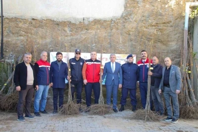 Köşklü üreticilere kestane fidanı dağıtıldı
