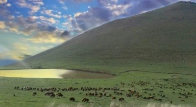 Köy muhtarının merayı kiraya vermesiyle ilgili soruşturma başlatıldı
