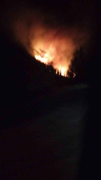 Köyceğiz’de orman yangını
