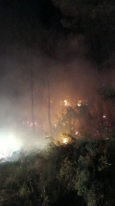 Köyceğiz’de Orman yangını, ekiplerin hızlı müdahalesi ile yangın kontrol altına alındı
