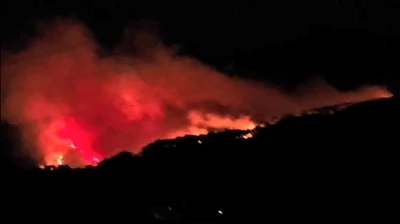 Köyceğiz’de orman yangını müdahale devam ediyor
