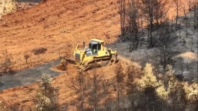 Köyceğiz’de yanan alanlara ilk fidanlar 11 Kasım’da toprakla buluşacak
