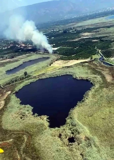 Köyceğiz sazlıklarda yangın
