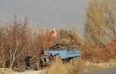Köylerde kışlık odun hazırlığı
