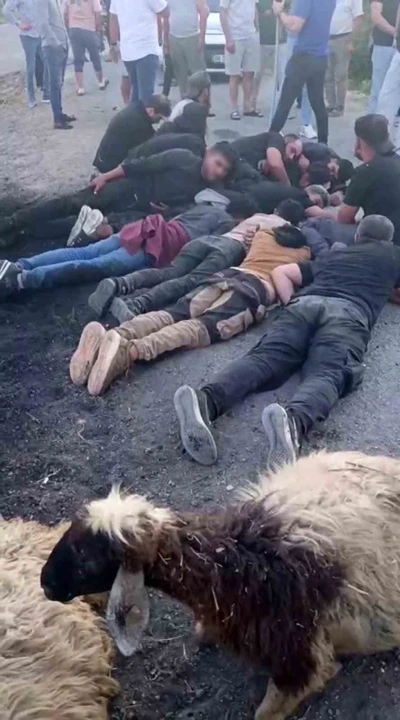 Koyun sürüsüne çarpan insan kaçakçısı, aracı ve göçmenleri bırakıp kaçtı
