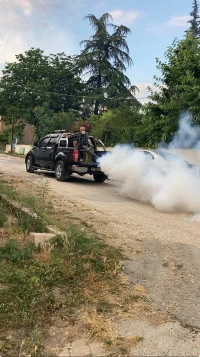 K&ouml;y&uuml;ndeki sinek sorununa bizzat kendisi el attı
