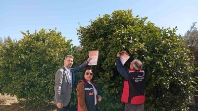 Kozan&rsquo;da arıların korunmasına y&ouml;nelik &ccedil;alışma başlatıldı
