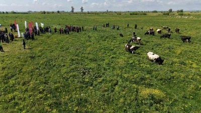 Kozan&rsquo;da ıslah edilen mera alanı dualarla a&ccedil;ıldı, s&uuml;r&uuml;ler alanda otlamaya başladı
