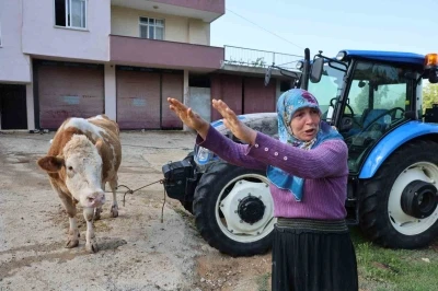 Kozan&rsquo;daki selde hayvanları telef olan kadın: "Bir anda sel geldi, ahırın &uuml;st&uuml;n&uuml; aştı"
