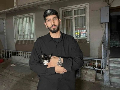 K&uuml;&ccedil;&uuml;k&ccedil;ekmece&rsquo;de 7&rsquo;inci kattan d&uuml;şen kedi şemsiye ile kurtarıldı
