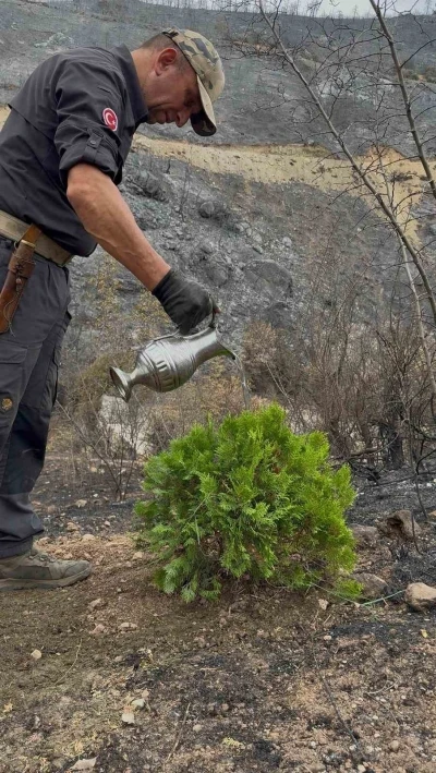 Kül olan topraklara umut ekti
