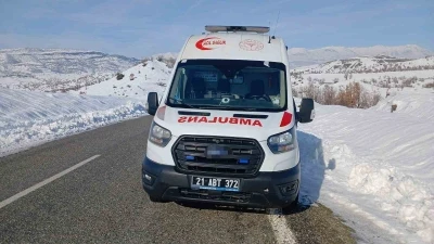 Kulp&rsquo;ta arızalanan ambulans yol kenarında bekliyor
