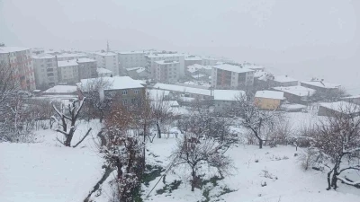 Kulp&rsquo;ta kar yağışı etkili oldu, il&ccedil;e beyaza b&uuml;r&uuml;nd&uuml;
