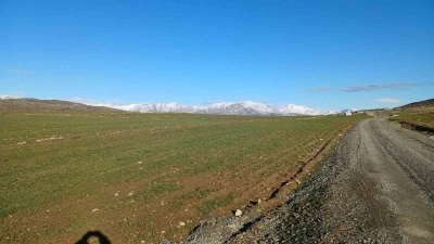 Kulp&rsquo;ta yağışlar &ccedil;ift&ccedil;inin umudu arttı
