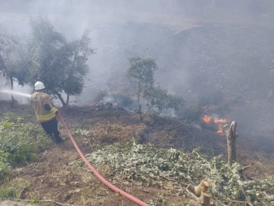 Kumlu’da bahçe yangını
