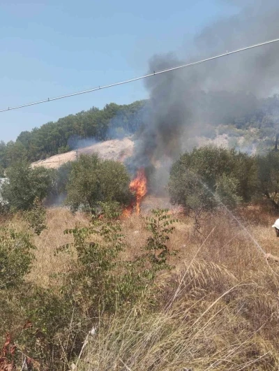 Kumluca’da çıkan yangında bir dönüm zeytinlik alan yandı
