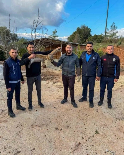 Kumluca&rsquo;da yaralı atmaca tedavisi sonrası doğaya bırakıldı
