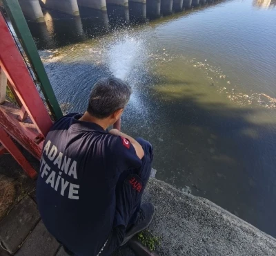 Kuraklık balıkları vurdu
