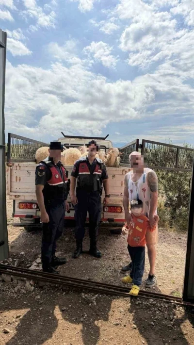 Kurban Bayramı &ouml;ncesi &ccedil;alınan koyunları jandarma buldu

