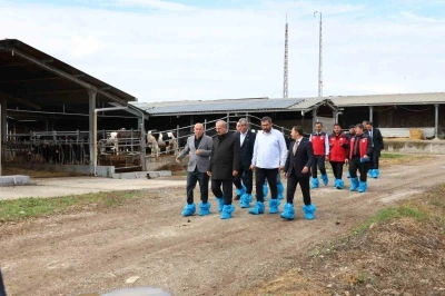 Kurban Bayramı &ouml;ncesi hayvancılık işletmelerinde inceleme
