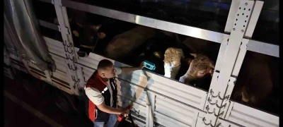 Kurban Bayramı &ouml;ncesi İstanbul&rsquo;da sevk noktalarında yoğun mesai
