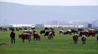 Kurban satışlarında sosyal medya tuzağı
