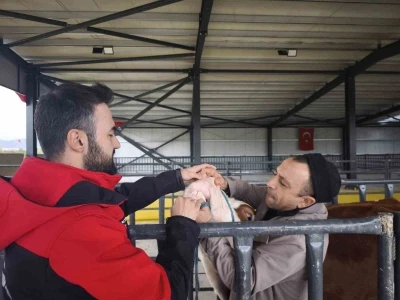 Kurbanlık denetimleri s&uuml;r&uuml;yor
