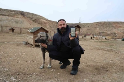 Kurtlar yerleşim yerlerine dadandı, uzmanı &ccedil;are olarak Kangalları g&ouml;sterdi
