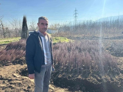 Kurulan her meyve bah&ccedil;esinde "Bursa" imzası var
