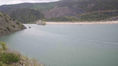 Kuruma noktasına gelmişti, 18 yıl sonra yeniden dolup taştı
