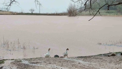 Kuruyan S&uuml;l&uuml;kl&uuml; G&ouml;l yeniden canlandı
