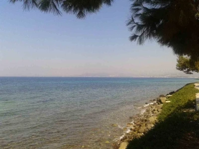 Kuşadası&rsquo;nda deniz suyu kalitesi y&uuml;z g&uuml;ld&uuml;rd&uuml;
