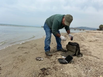 Kuşadası&rsquo;nda iki deniz kaplumbağası &ouml;l&uuml; bulundu
