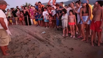 Kuşadası’nda koruma altındaki yuvadan ilk yavrular denize ulaştı
