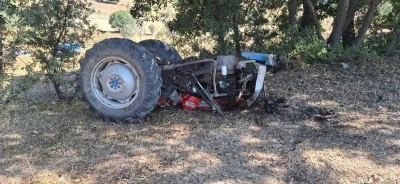 Kuşburnu toplamaya gitti, dönüşte canından oldu
