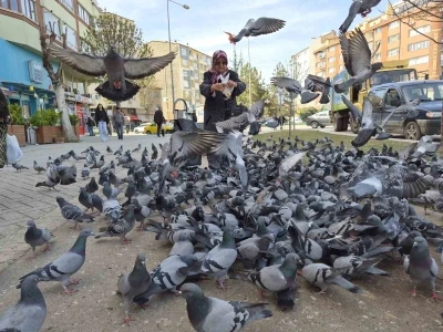 Kuşlara yem dağıtan yaşlı kadın onlarca g&uuml;vercinin arasında kaldı
