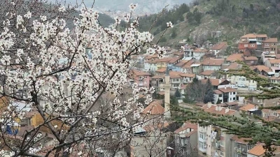 K&uuml;tahya&rsquo;da badem ağa&ccedil;ları &ccedil;i&ccedil;ek a&ccedil;tı
