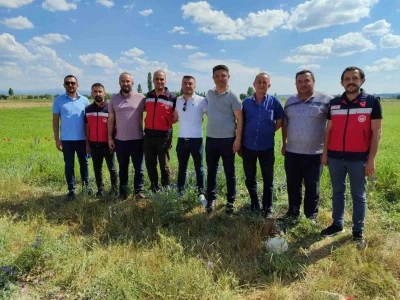 K&uuml;tahya&rsquo;da &ccedil;&ouml;rek otu &uuml;retimi yakından takip ediliyor
