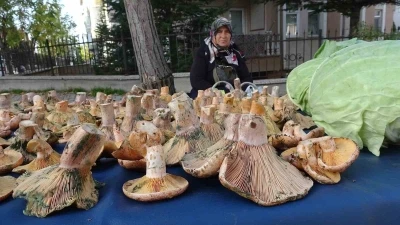 Kütahya’da ’Melki’ bereketi
