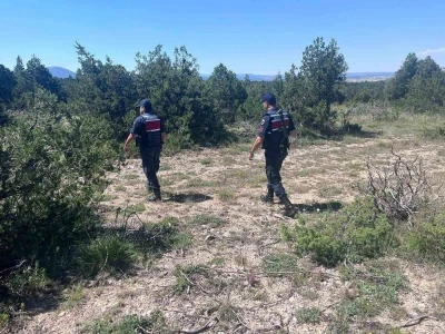 K&uuml;tahya&rsquo;da orman yangınlarına karşı jandarma teyakkuza ge&ccedil;ti
