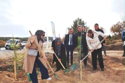 Kütahya’da şehitler için 350 fidan toprakla buluştu
